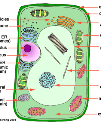 Biology